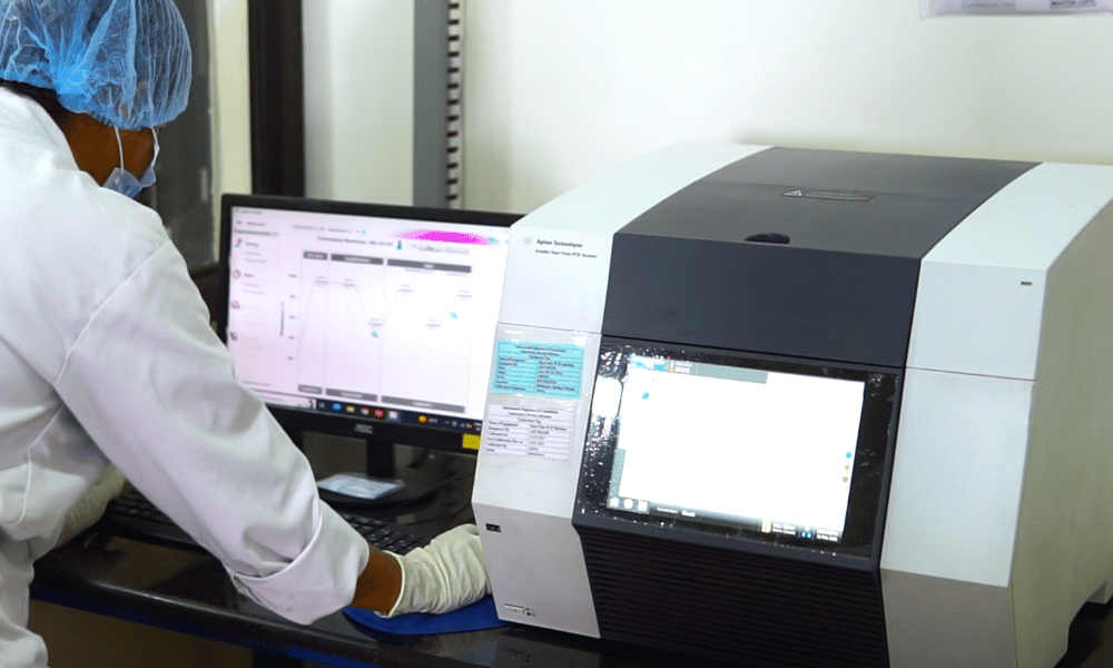 RT-PCR