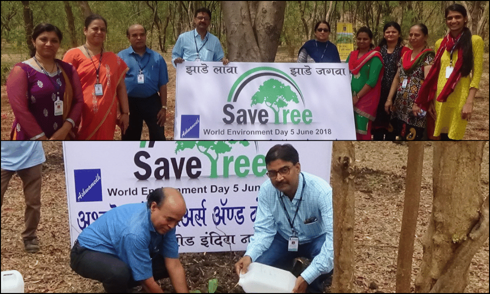 Tree Plantation