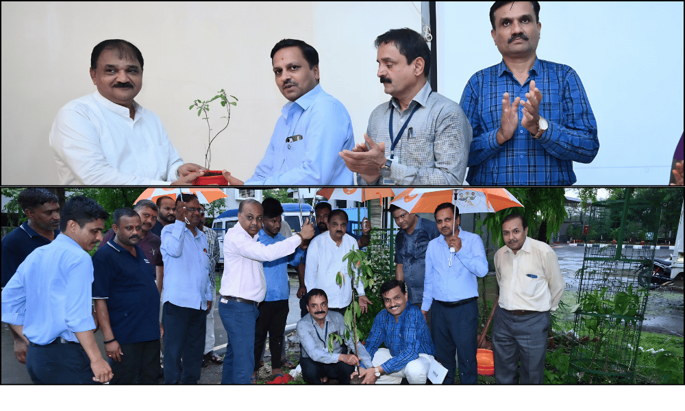 Tree plantation drive on World Environment Day