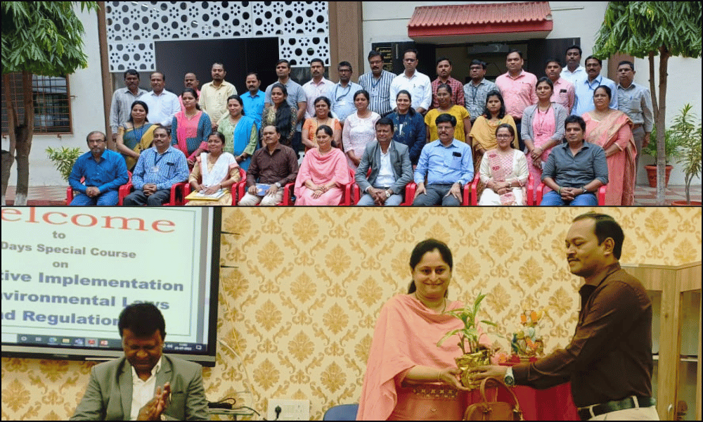 Workshop: Implementing Environmental Laws