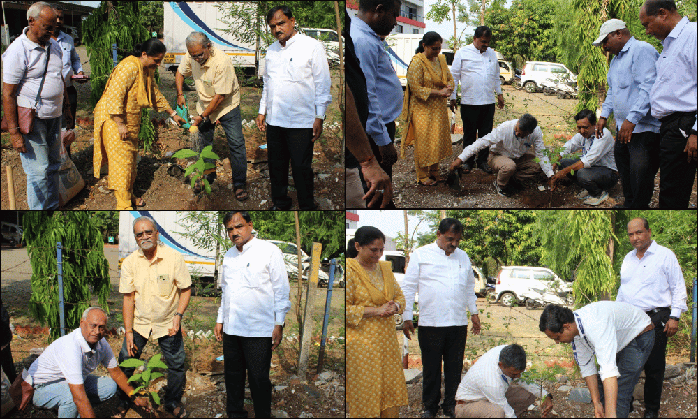 Tree Plantation