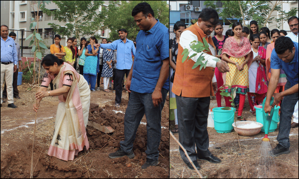 Tree Plantation